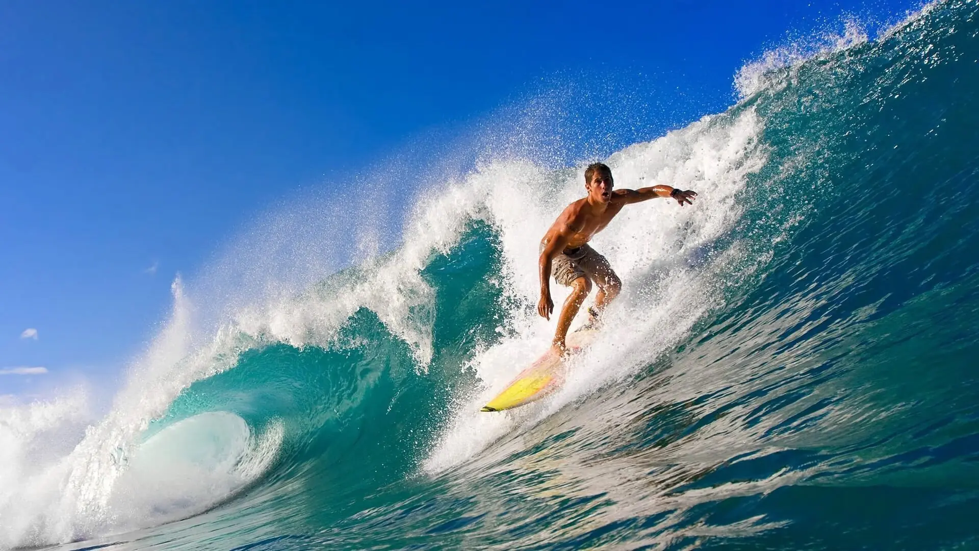 赛场外的温馨：球迷与球员的感人互动故事，球迷感言